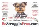 How Would $900 A Day, Change Your Life?